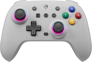 ECHTPower Mando Inal&aacute;mbrico para Switch/SWITCH 2 2025, Dise&ntilde;o Retro, Switch Pro con Hall Joystick, Giroscopio, Turbo, 4 Vibraciones, Controller Wireless para SW/PC/Android/iOS