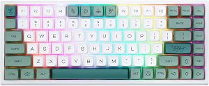 EPOMAKER EP84 - Teclado mec&aacute;nico para Juegos 75% RGB, Intercambiable en Caliente, 2,4 GHz/Bluetooth 5.0/USB-C, con Software programable, NKRO para Mac/Win/Gamer (Budgerigar)