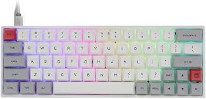 EPOMAKER SKYLOONG SK64 64 Teclas Teclado mec&aacute;nico con retroiluminaci&oacute;n RGB, Teclado reemplazable en Caliente, Teclas PBT, programable para Ganar/Mac/Juegos, QWERTY