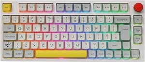 EPOMAKER TH80 Pro Teclado Mecánico Inalámbrico/Bluetooth/USB-C, con Iluminación RGB, Hot Swap, Teclas Multimedia, y Compatible con PC/Mac/PS4/PS5/Xbox (Theory TH80 ISO, Epomaker Budgerigar Switch)