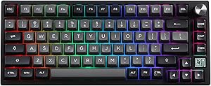 EPOMAKER TH80 SE Gasket Teclado mecánico 75%, NKRO, sustitución en Caliente, RGB Modo Triple, Espuma Poron/Eva, regulador Giratorio para E-Sport/Windows/Mac (Negro Plata, Interruptor Lineal Wisteria)