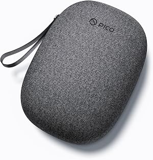 Funda de transporte PICO 4