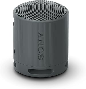 Sony Altavoz Bluetooth SRS-XB100, Ligero, Compacto, Altavoz Resistente al Agua y al Polvo IP67, hasta 16 h de bater&iacute;a, Correa Adaptable, Negro